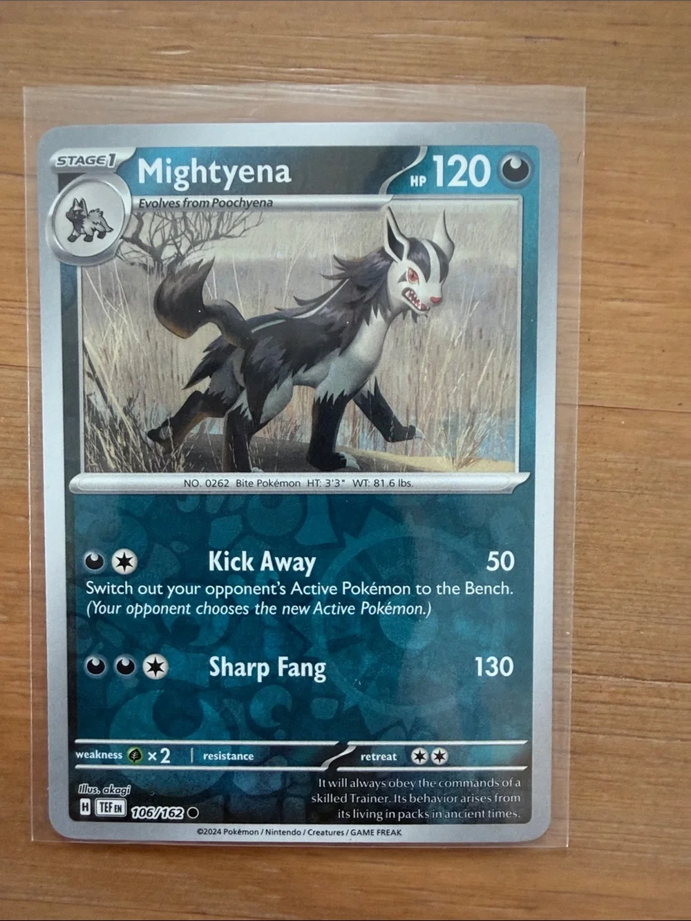 Poochyena & Mightyena Evolution Lot | 3 Reverse Holo Pokémon Cards ✨5/$25✨